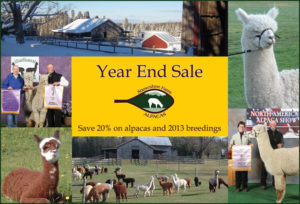year ends sale at snowshoe farm alpacas