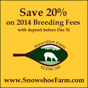 save on stud fees at snowshoe farm alpacas