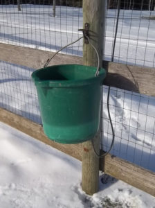 heated water bucket snowshoe farm alpacas