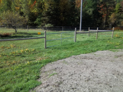 livestock fencing by Snowshoe Farm Alpacas, Peacham, VT