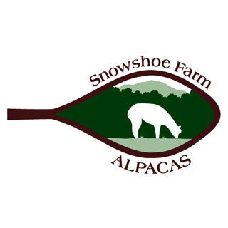 Snowshoe Farm Alpacas, Peacham Vermont