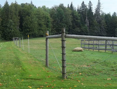 livestock fencing from snowshoe farm alpacas, peacham, vt
