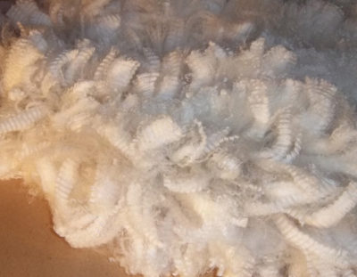 alpaca fiber from Snowshoe Farm, Peacham, VT