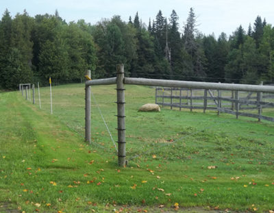 livestock fencing from Snowshoe Farm, Peacham, Vermont