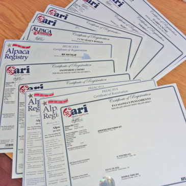 Alpaca registration certificates